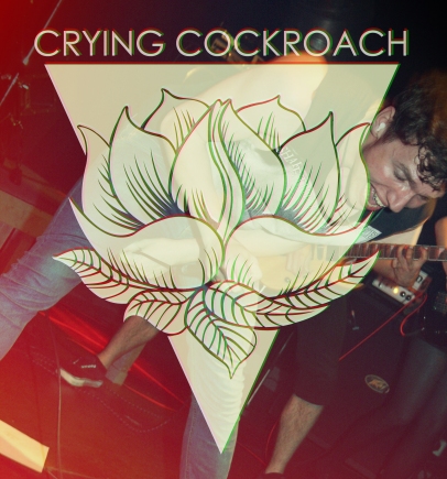 Crying Cockroach - Hardcore aus Brühl